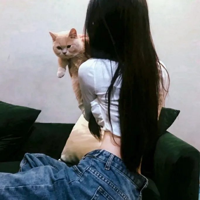 疯狂的麦咭第三季